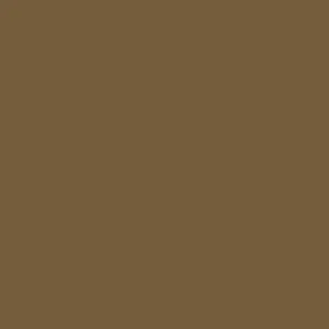 1" Heavy Tubular Nylon Webbing - Coyote Brown (Sold per Yard)