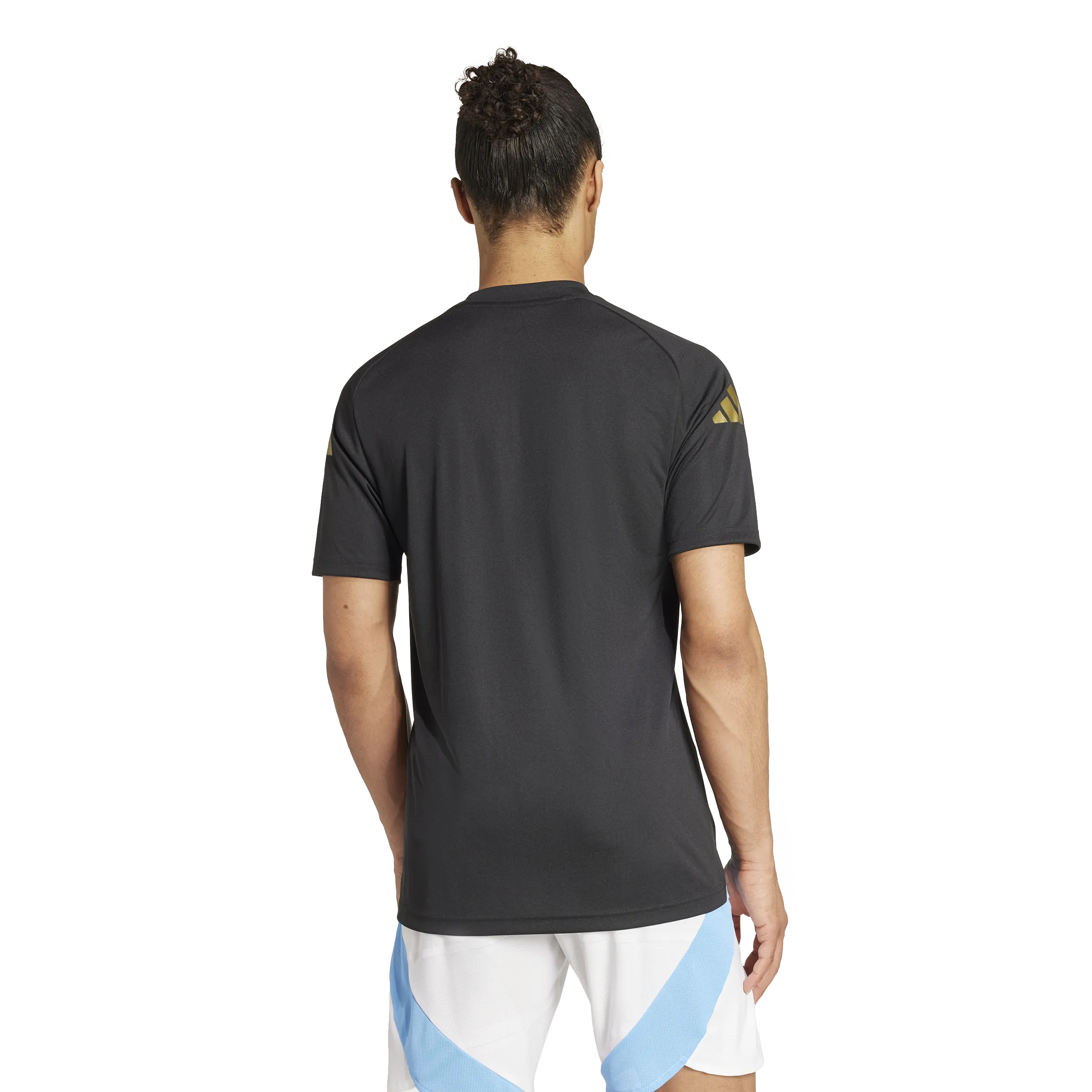 Adidas Argentina 2024 Pre-Match Shirt