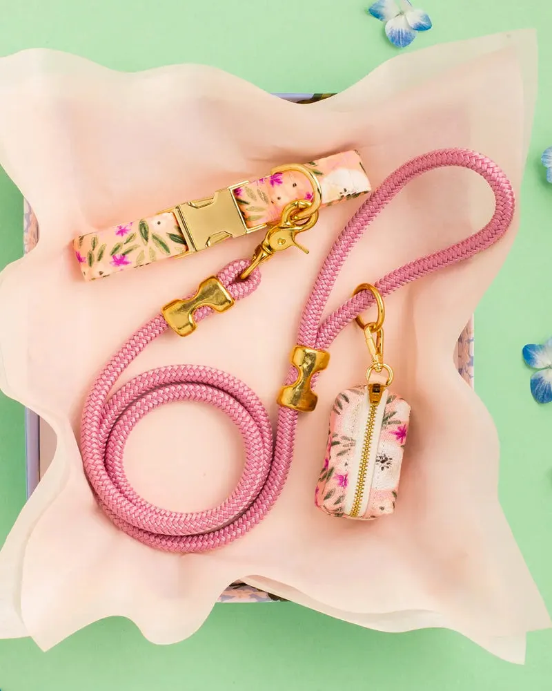 Foggy Dog Rope Leash