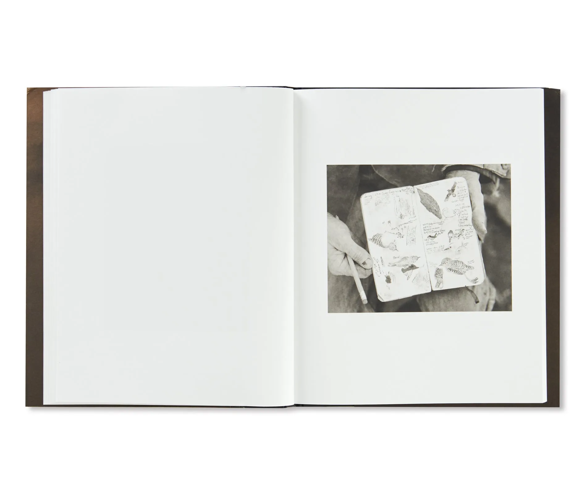 JASPER by Matthew Genitempo [SIGNED]