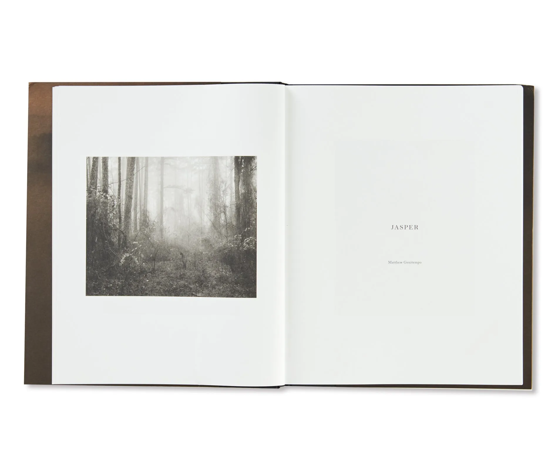 JASPER by Matthew Genitempo [SIGNED]