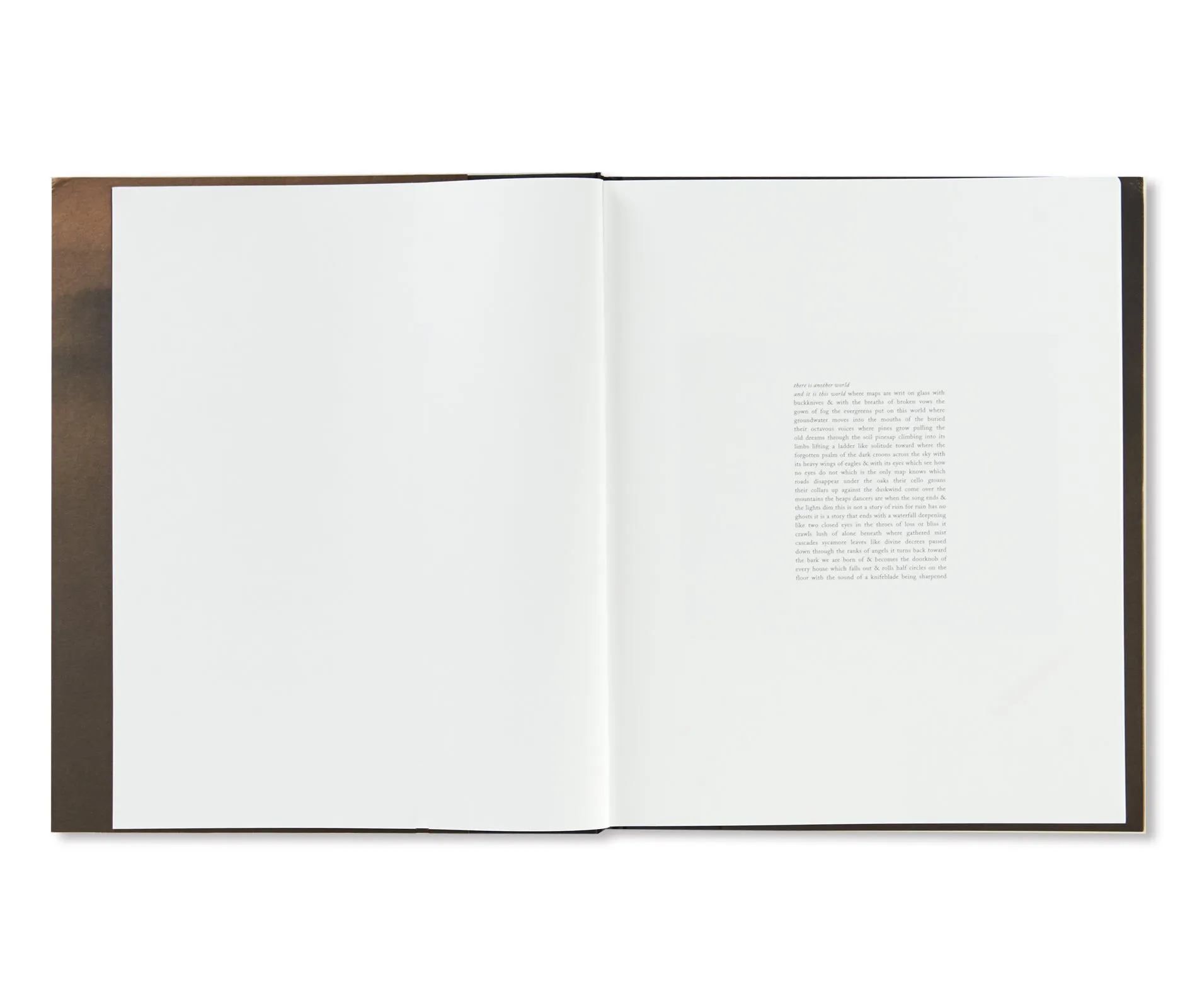 JASPER by Matthew Genitempo [SIGNED]