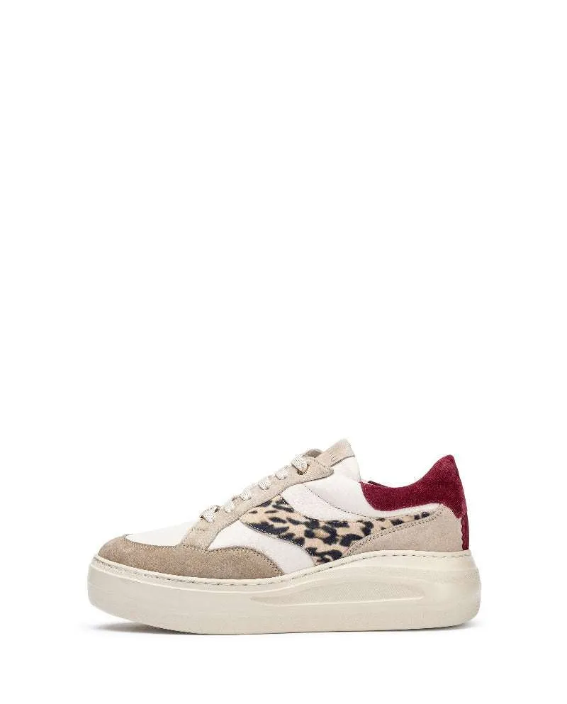Unisa FIVEBG- Trainer